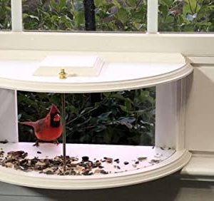 Cardinal Inside Window Bird Feeder