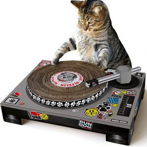 Cat Scratcher DJ Deck Interactive Cat Toy Cat Playing with Product
