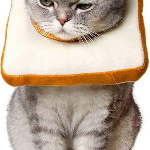 Soft Bread Cat Cone Collar On Cat