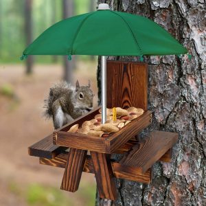 Squirrel Feeder Table with Umbrella Attached to Tree with Squirrel