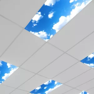 Blue Sky Panel Light Fixture Cover In Office Ceiling