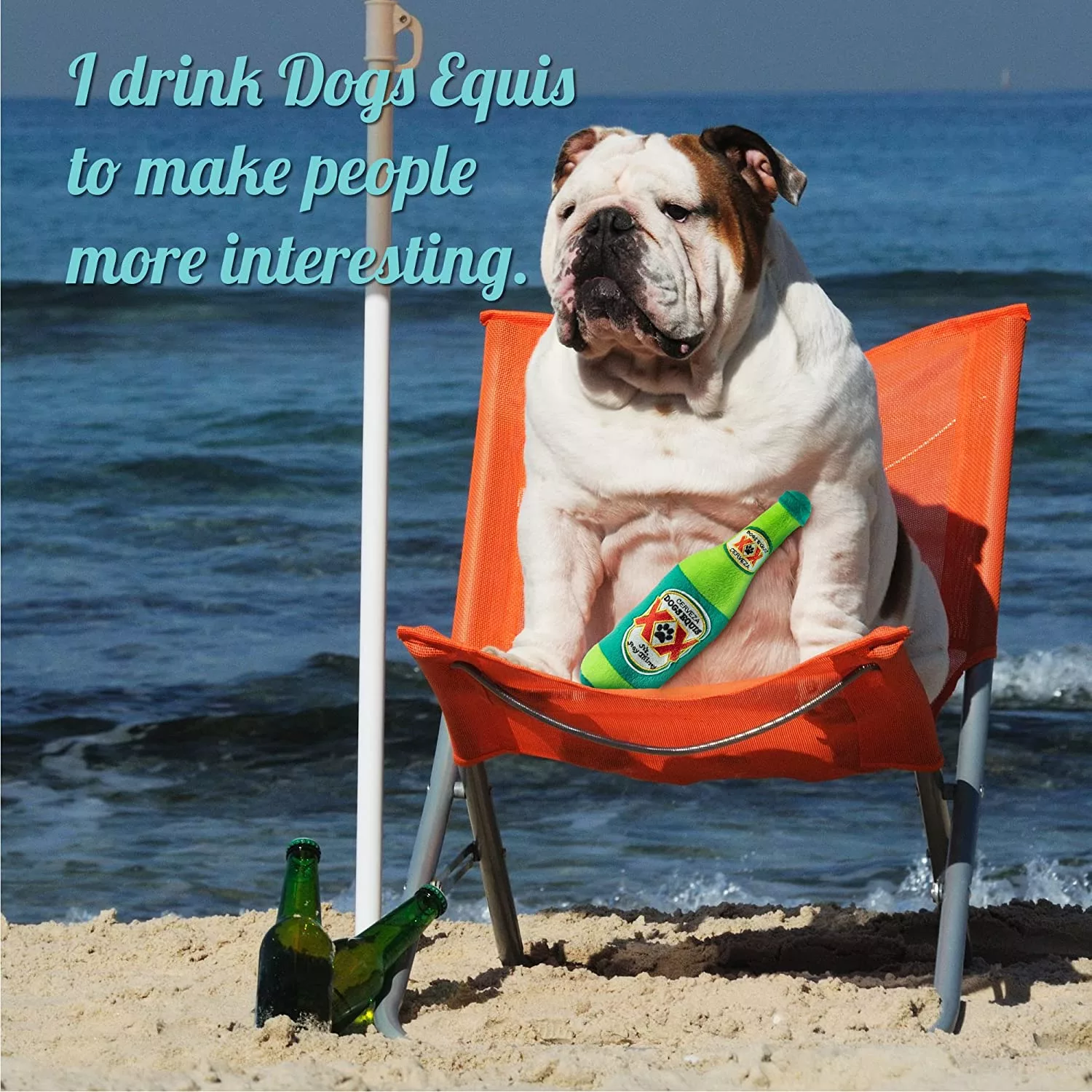 Bulldog on the beach with the Alcohol Brand Dog Toys