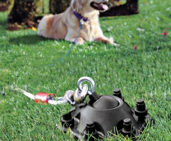 Dog Laying Outside Attached To the SUREswivel 360 Degree Dog Tie Out