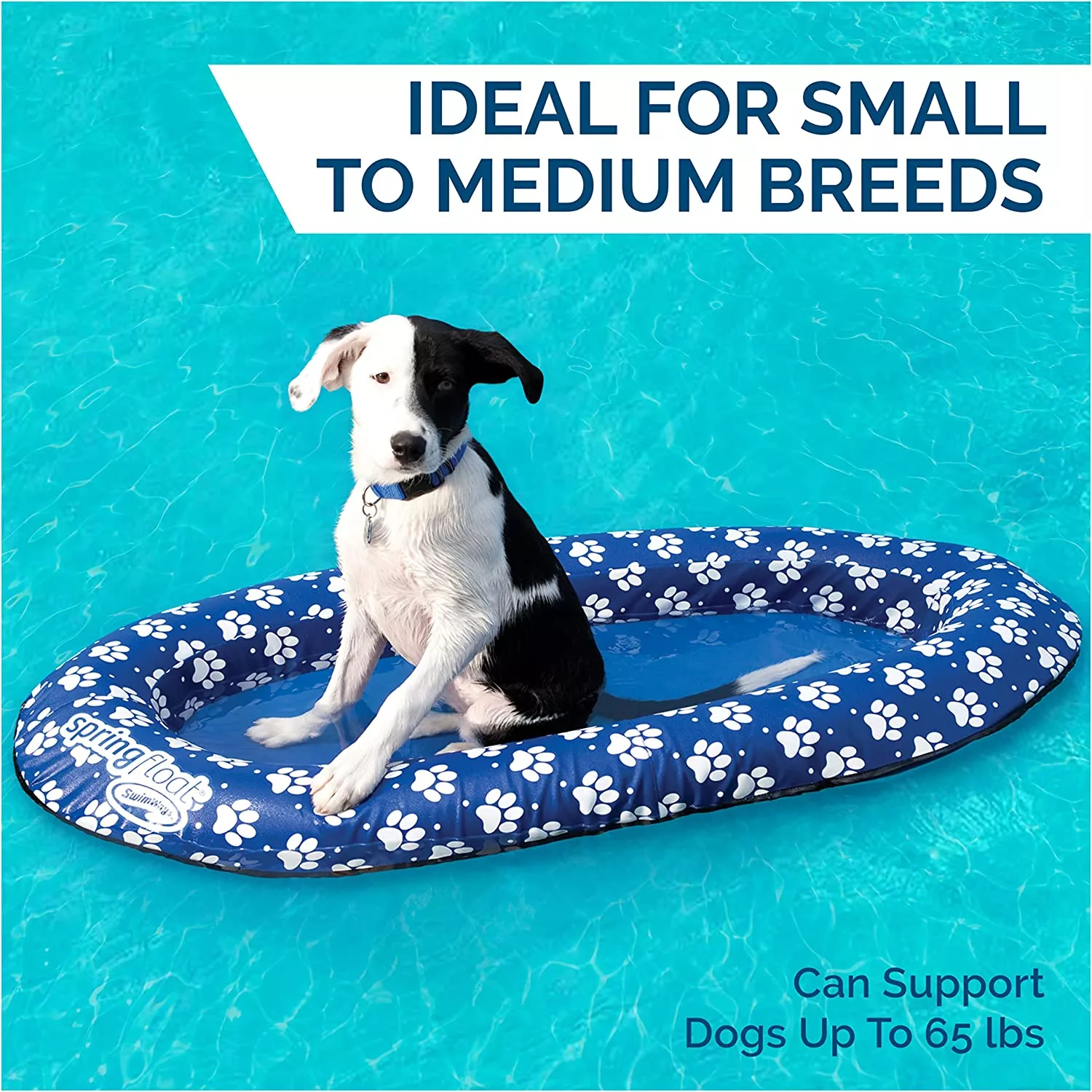 Dog Pool Float Ideal for Small to medium size breeds