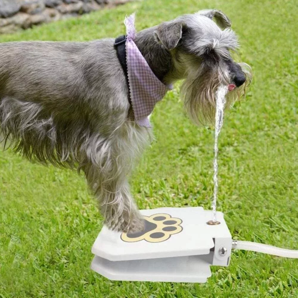 Dog drinking from the Dog Push Button Water Fountain