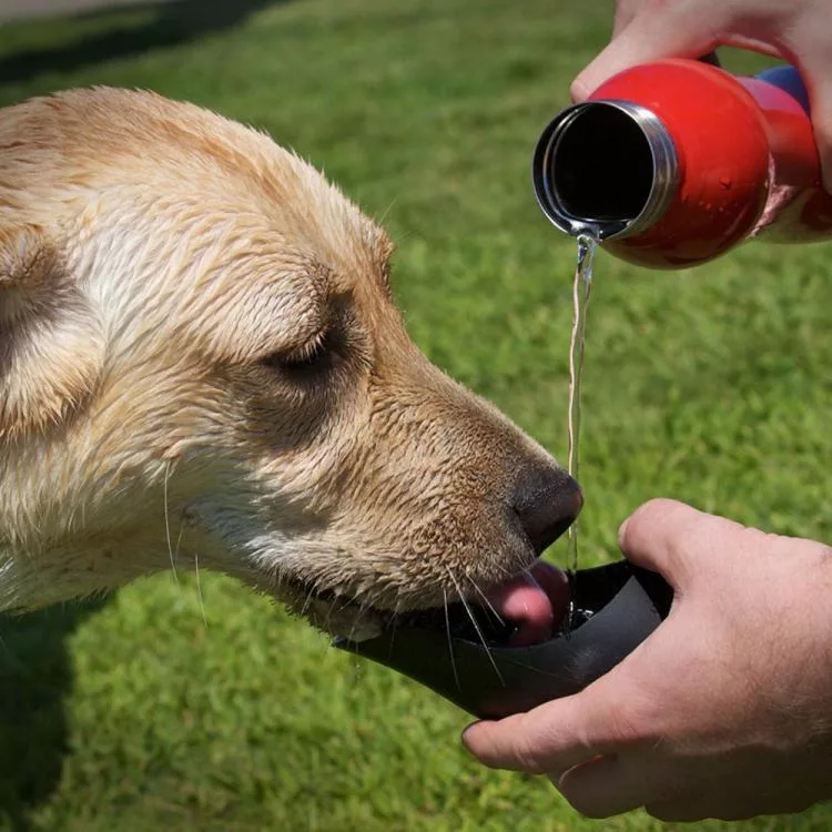 Dog drinking from the Travel Dog Water Bottle and Bowl while owner pours in water