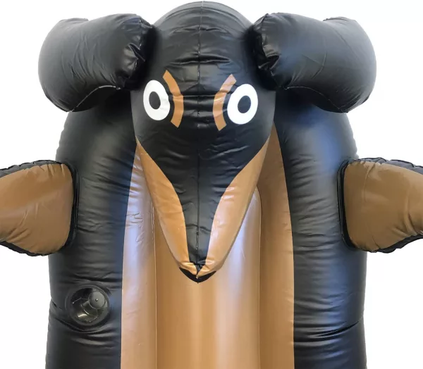 Giant Wiener Dog Pool Floats Close Up