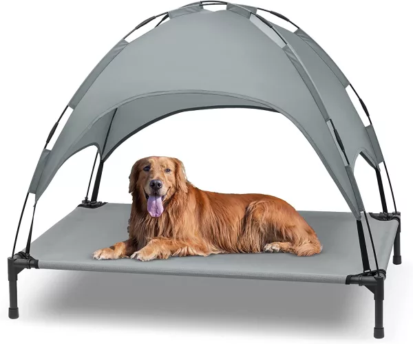Golden Retriever Laying On Outdoor Dog Lounger With Sun Canopy
