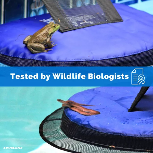 Mini Frog Pool Ramp has been tested by wildlife biologists