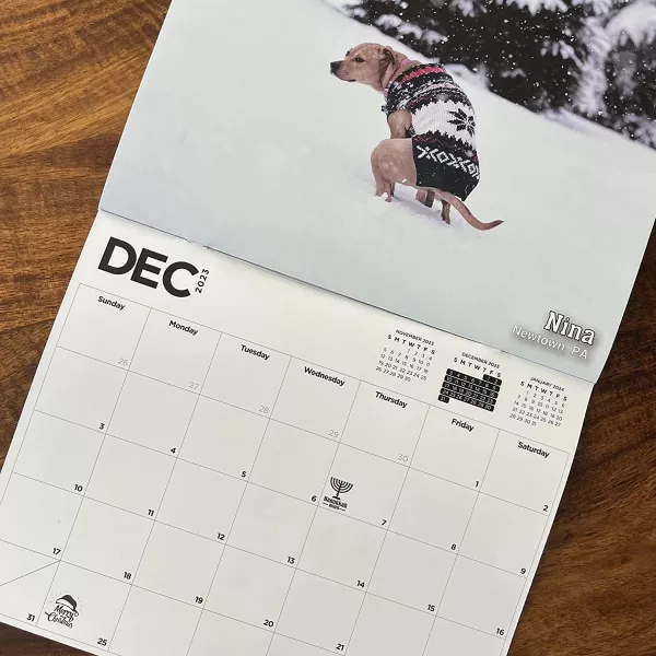 Pooping Pooches Calendar December