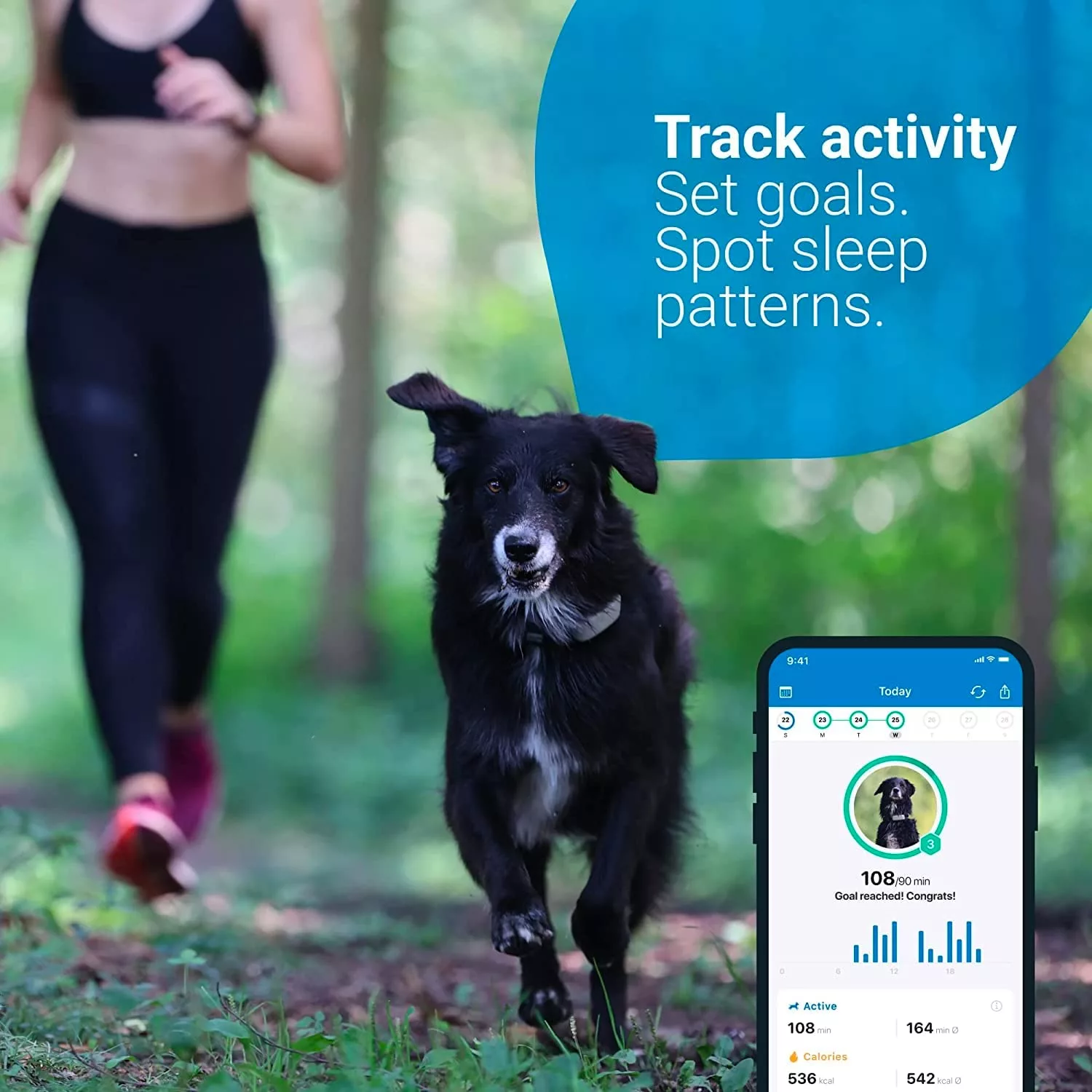 Track activity and set goals with the Tractive GPS Tracker