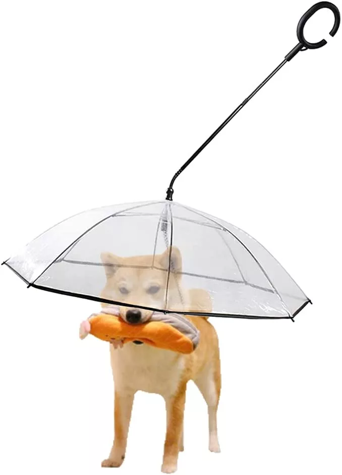 Transparent Dog Umbrella That Attaches To The Leash Product Shot