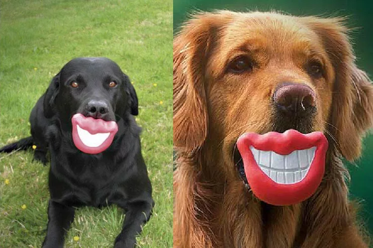 Two dogs using the Dog Smiling Mouth Squeak Toy