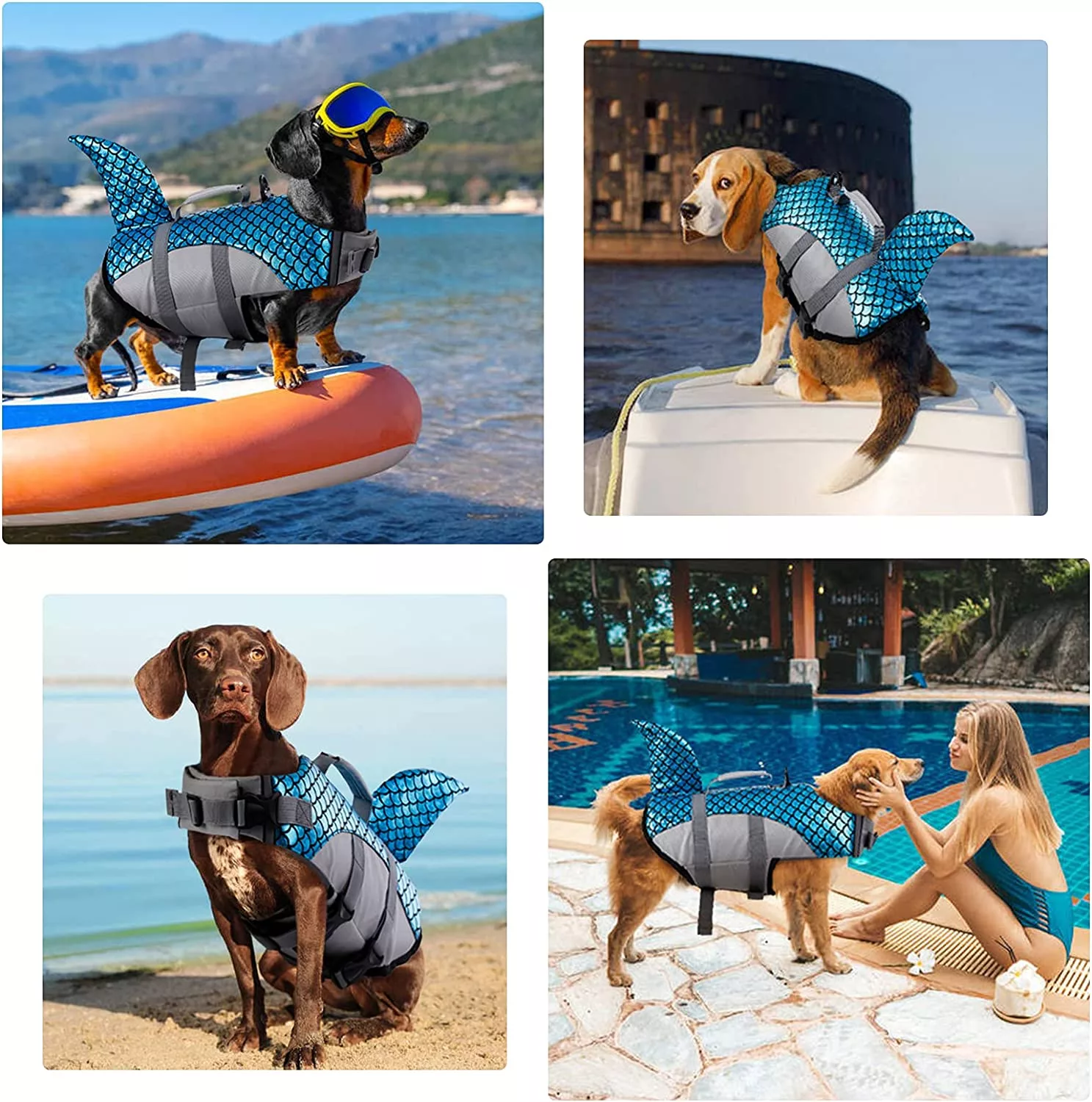 Various Dogs Wearing the Shark Fin Dog Life Jacket