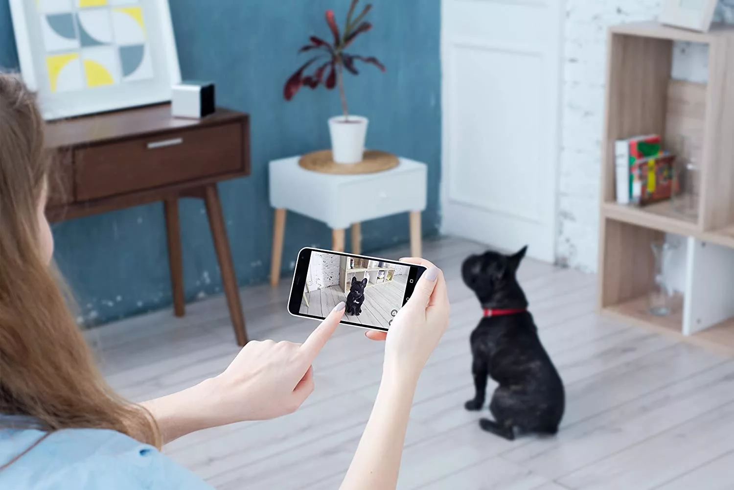 Watching a dog on a phone using the PetCube Home Camera