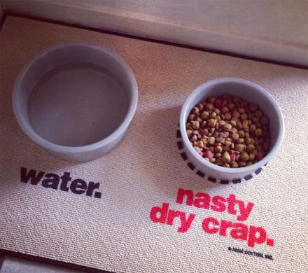Water and food bowls on the Water and Nasty Dry Crap Water and Dog Food Bowl Mat