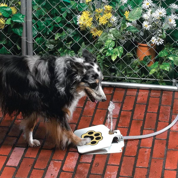 Dog Stepping on the Dog Push Button Water Fountain