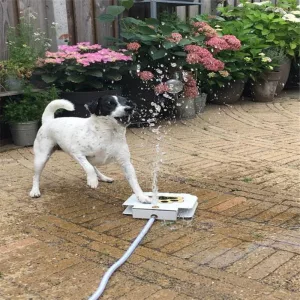 Dog using the Dog Push Button Water Fountain on the patio