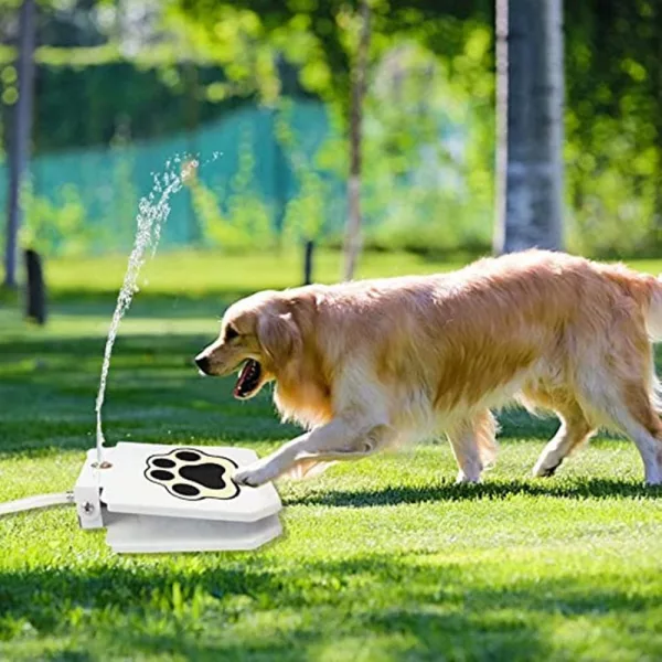 Golden Retriever Using the Dog Push Button Water Fountain In the Park