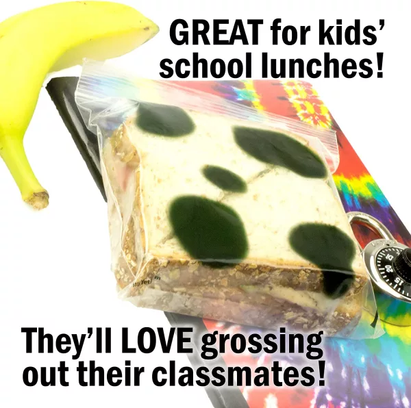 Hands Off Moldy Lunch Bags Great for kids lunches