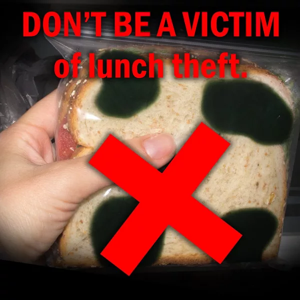 Hands Off Moldy Lunch Bags Lunch Theft prevention