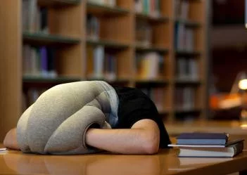 Man Sleeping In Library In Ostrich Portable Nap Pillow