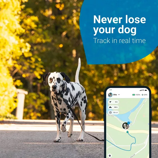 Never lose your dog with the Tractive GPS Tracker
