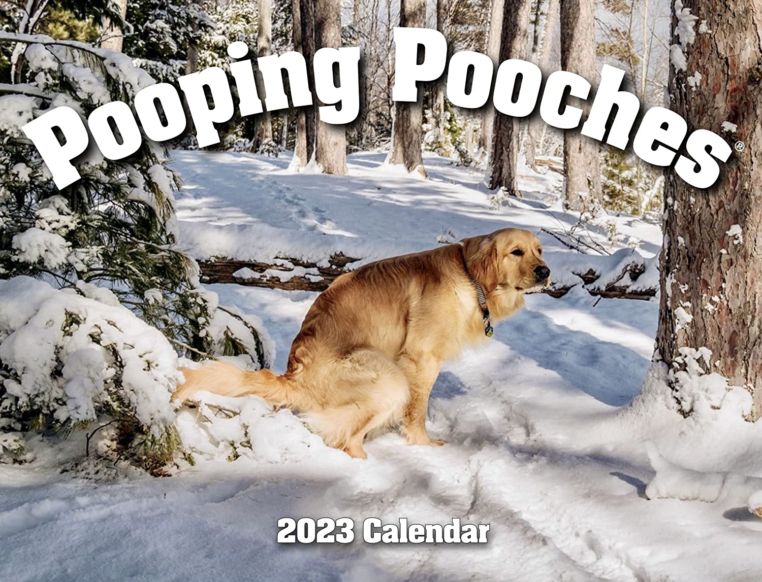 Pooping Pooches Calendar