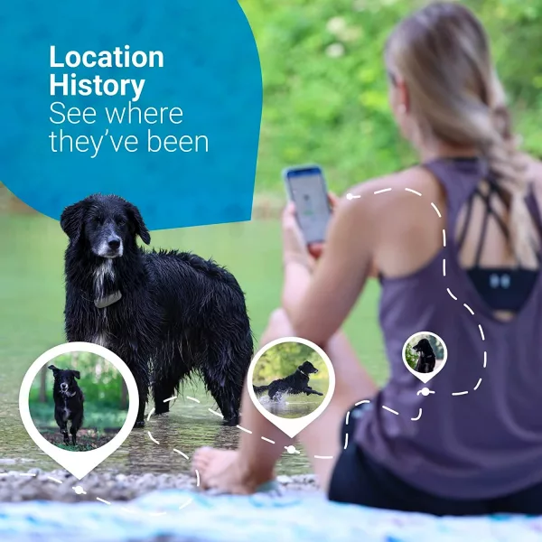 See where your dog has been with location history on the Tractive GPS Tracker