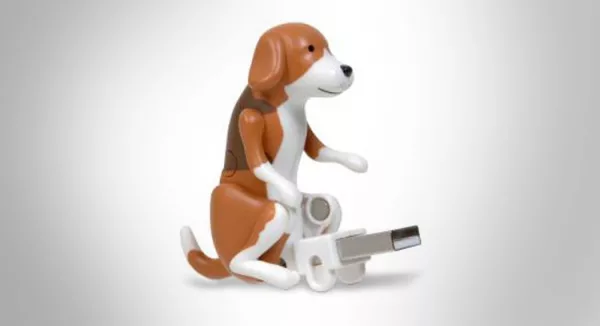 USB Humping Dog Angled Shot