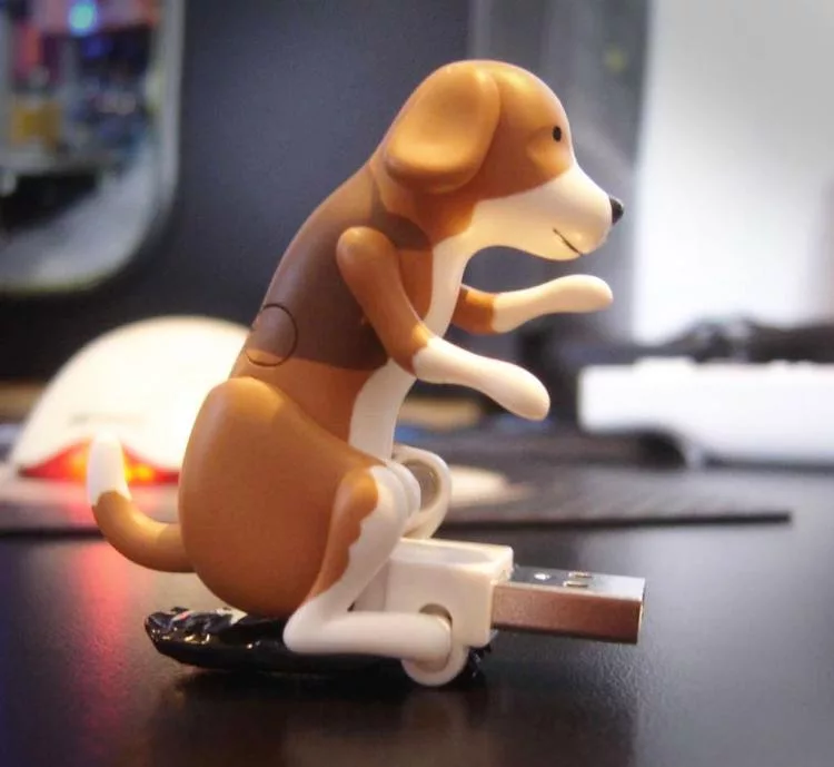 USB Humping Dog Sitting on desk